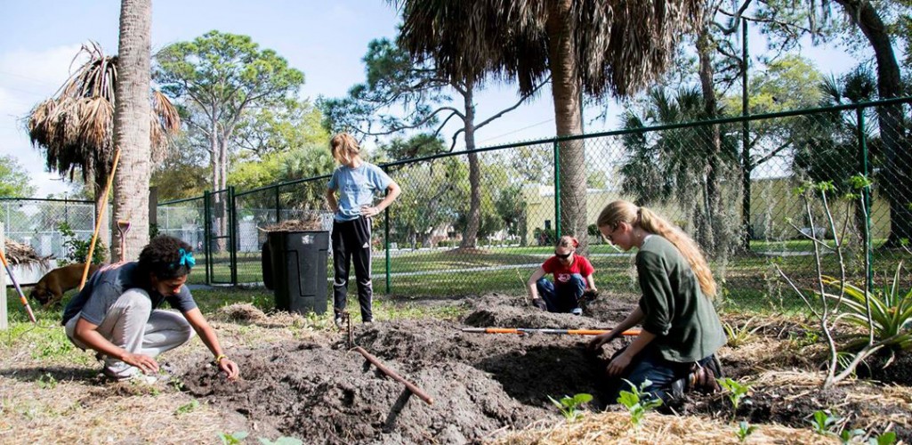 Orange Blossom Community Garden